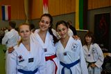 German_Open _Giebelstadt_2014_04.jpg